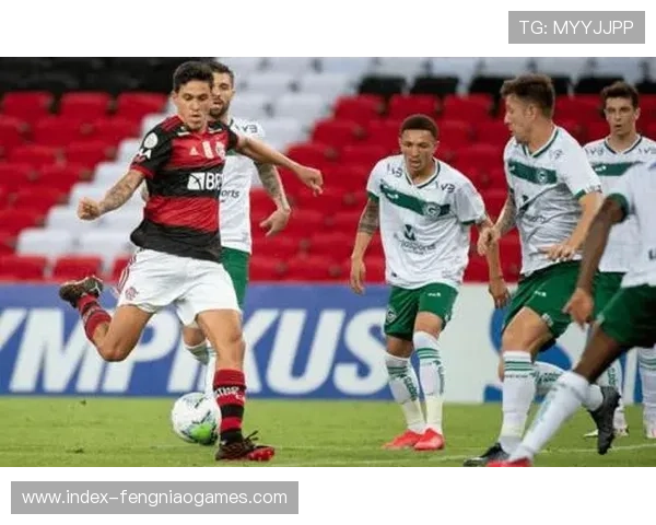 弗拉门戈进攻双核驱动，恩里克-戈麦斯组合贡献28球