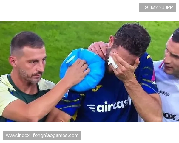 加利亚尔迪尼首发维罗纳，中场经验助保级